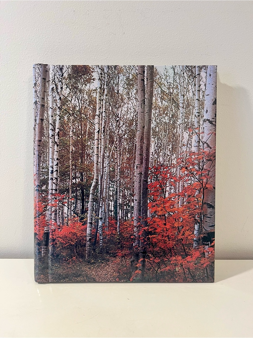 Vintage Magnetic Photo Album with Birch Trees in the Forest on cover
